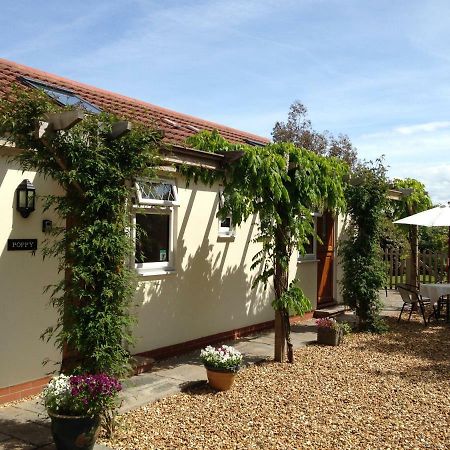 Ashford House B&B Wells Exterior foto